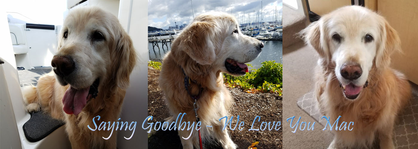 Saying Goodbye To Our Golden Retreiver Boating Journey